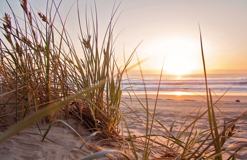 Beach dawn evening 1300510 web