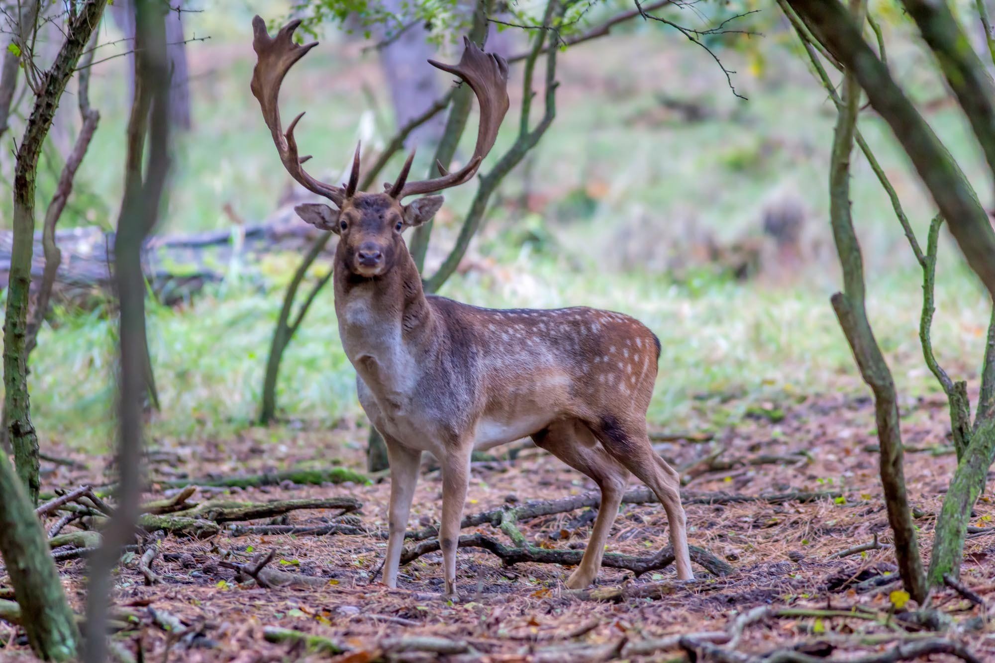 Canon eos 5d mark iii 20131021 091408