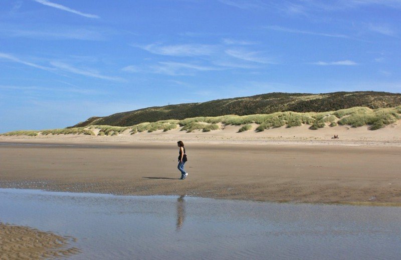 Landscape 16752421920