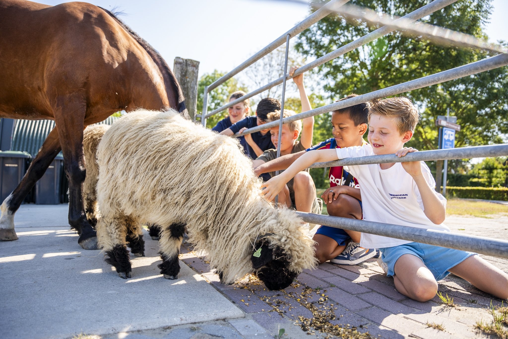 Dierenweide